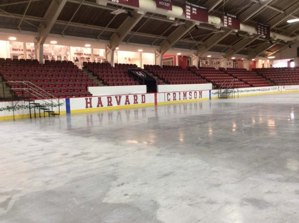 Red stadium seats, inside of a hockey ring in Harvard's hockey rink for a graduation event