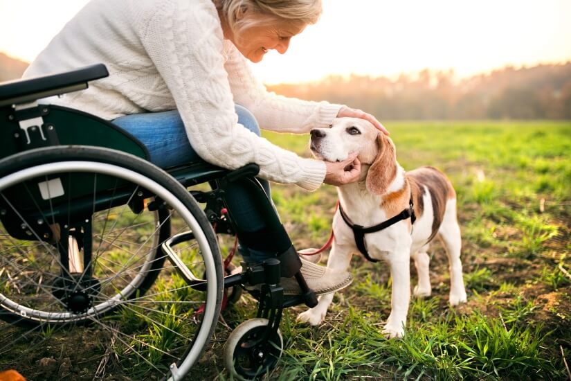 a senior woman in a wheelchair with dog in autumn