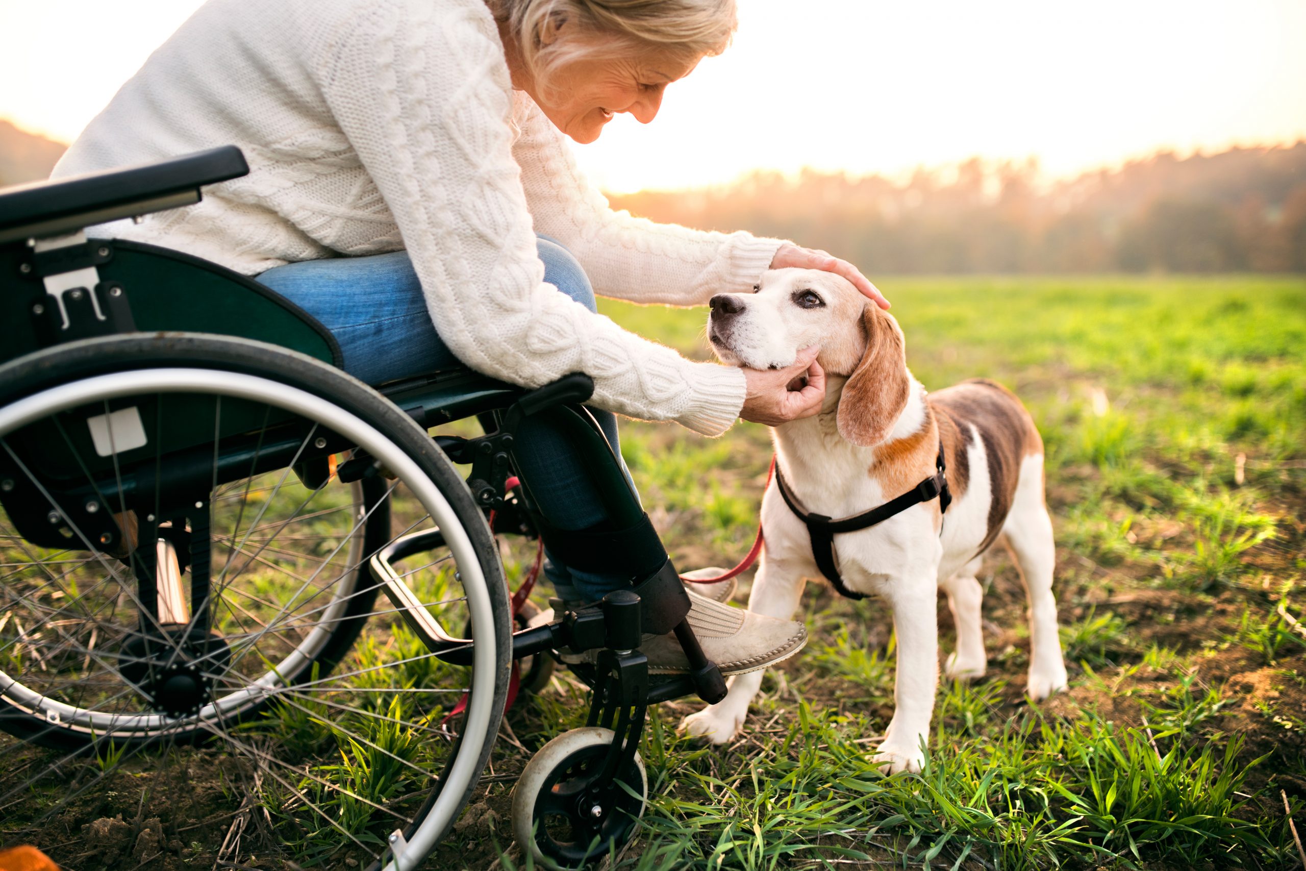 A senior woman in a wheelchair leans down to pet her dog outside.