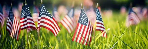 A series of American flags on grass honoring fallen Veterans for Memorial Day